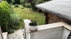Blick in den Garten