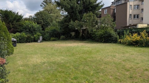 Gemeinschaftsgarten