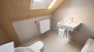 Renovierungsvorschlag WC rechts