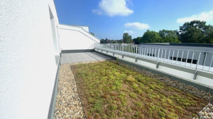 Terrrasse nach hinten raus