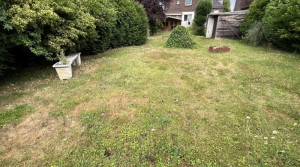 Garten mit Rückansicht