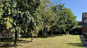 Spielwiese und Obstbäume