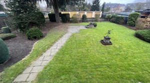 Garten mit Blick auf den Garagenhof